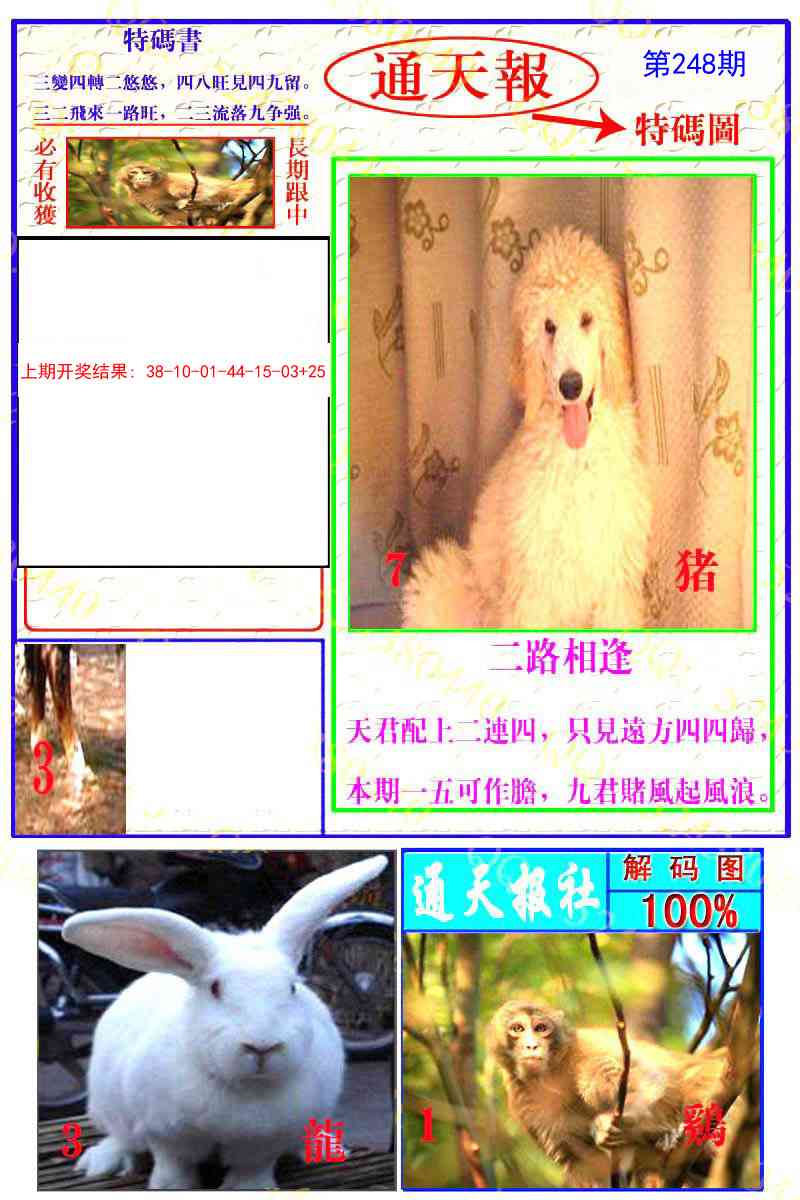 248期通天特解图[图]