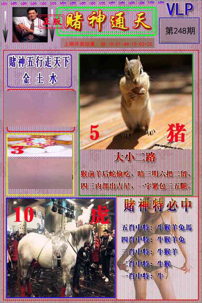 248期赌神通天报[图]