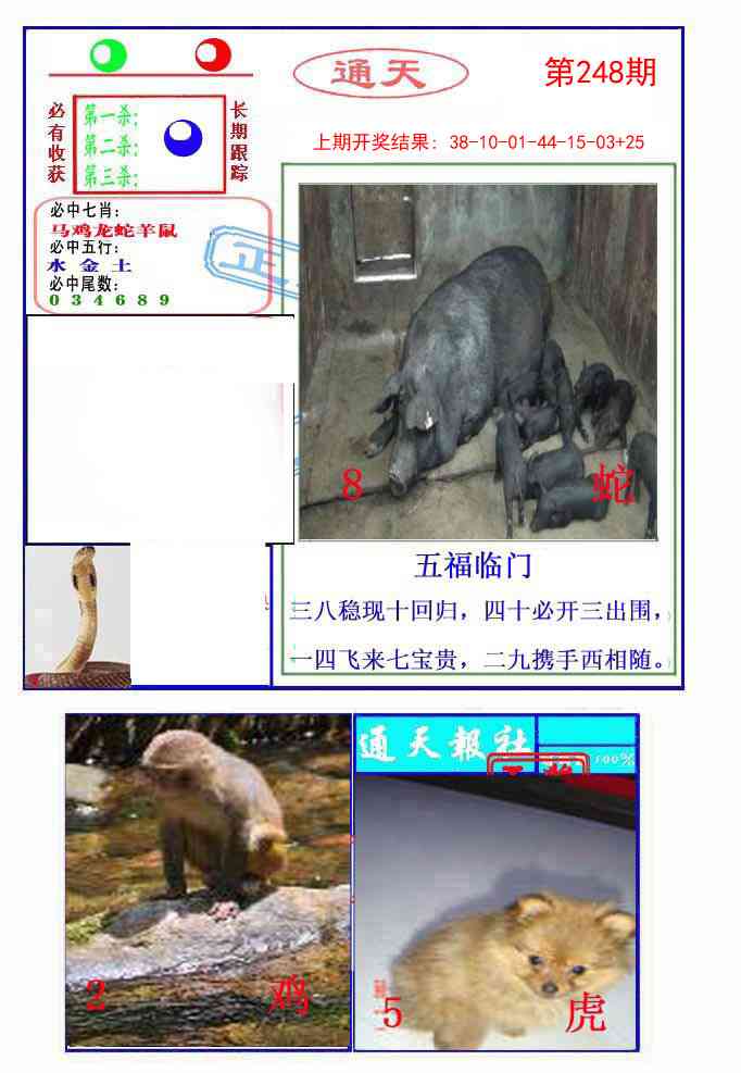 248期通天杀波图2[图]