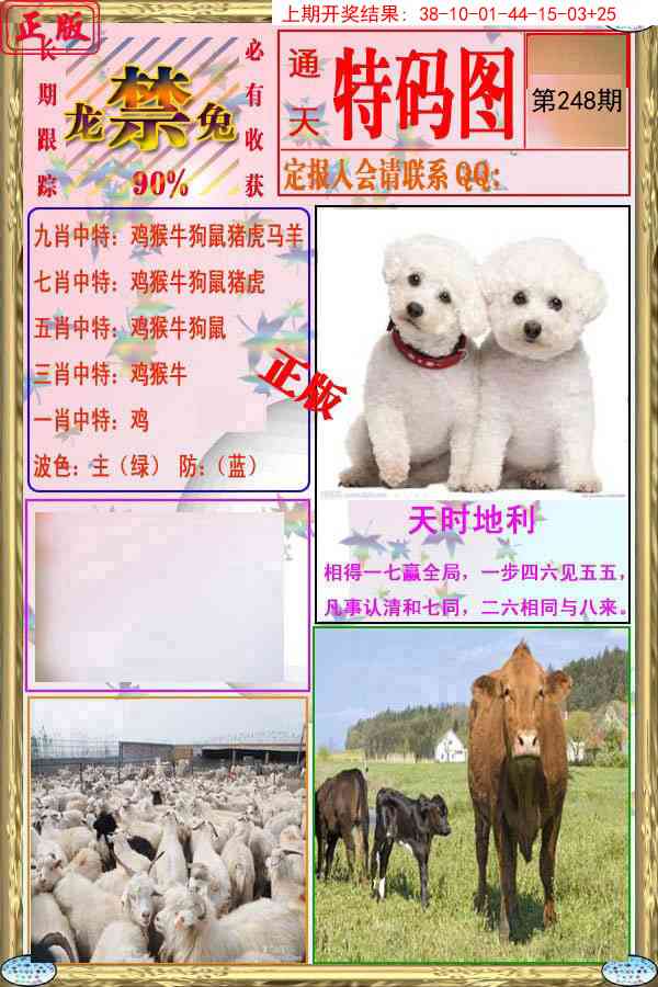 248期特码图[图]