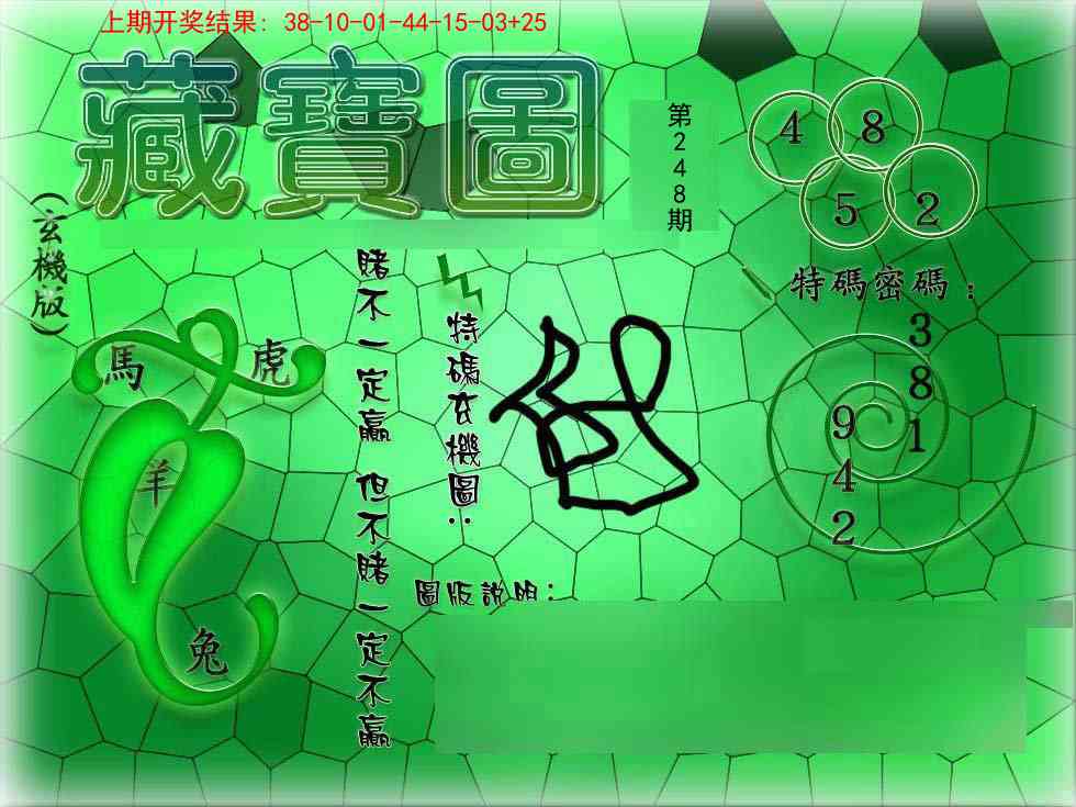 248期九龍玄机报[图]