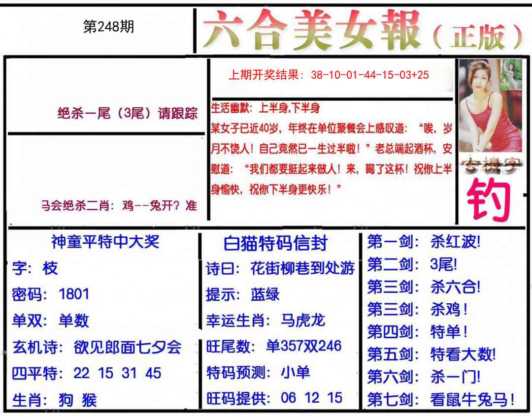 248期美女报[图]