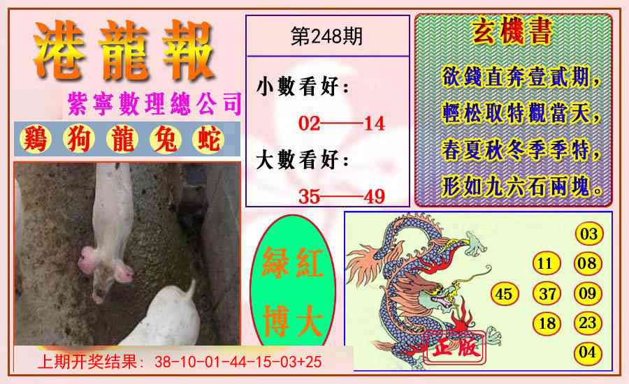 248期港龙报[图]