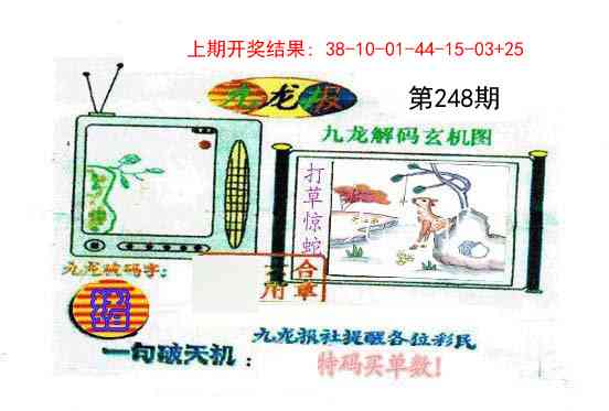 248期九龙报[图]