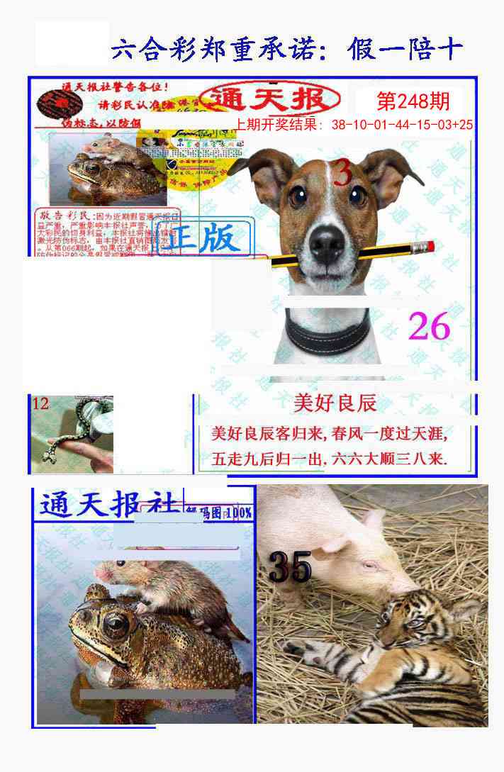 248期假一陪十通天报[图]