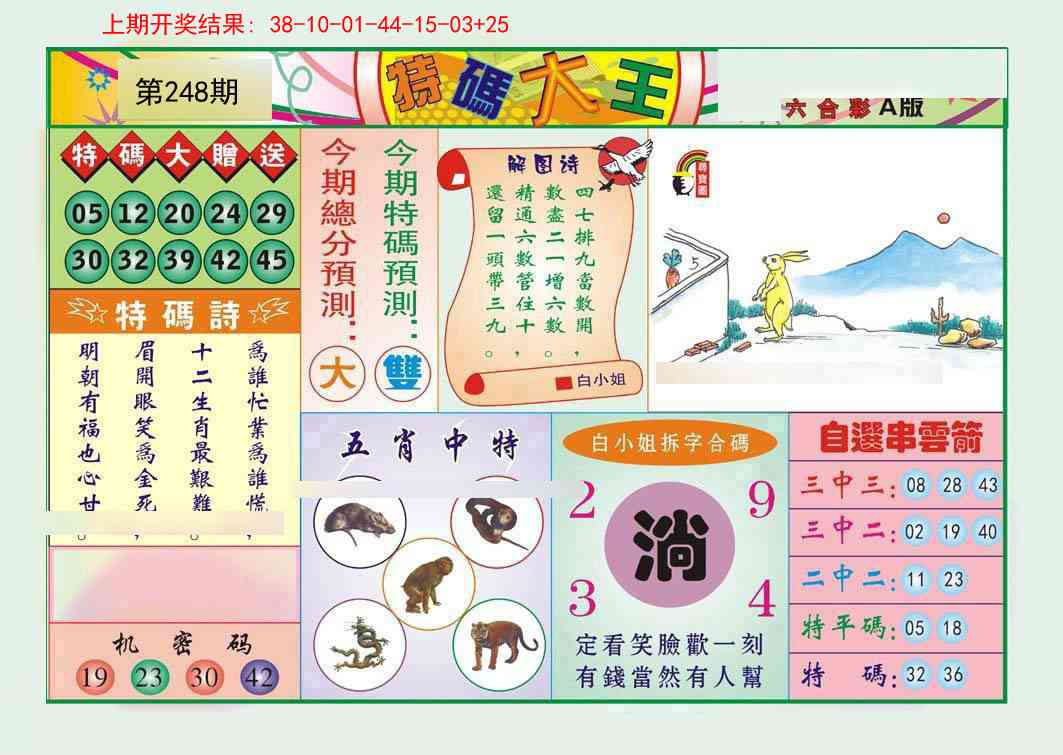 248期特码大王A[图]