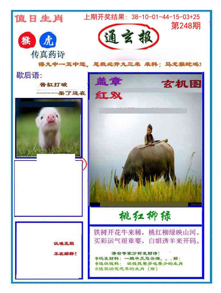248期通玄报[图]