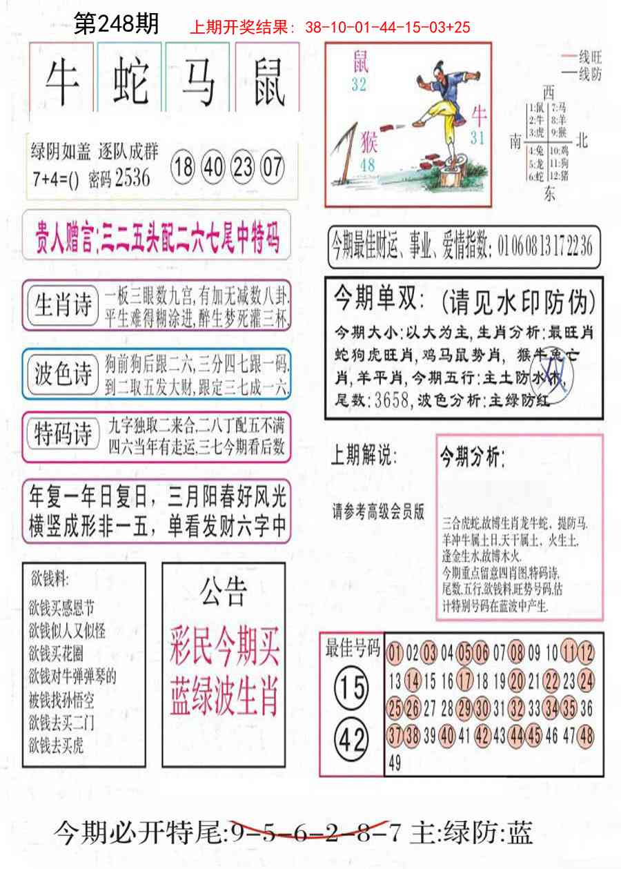 248期凤凰闲情A[图]