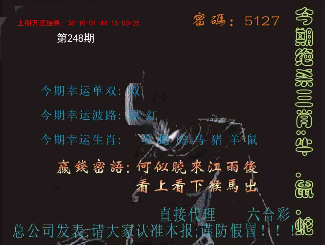 248期特码报[图]