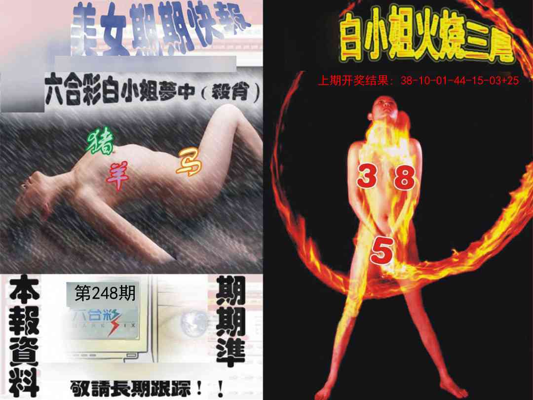 248期环球美女特码报[图]