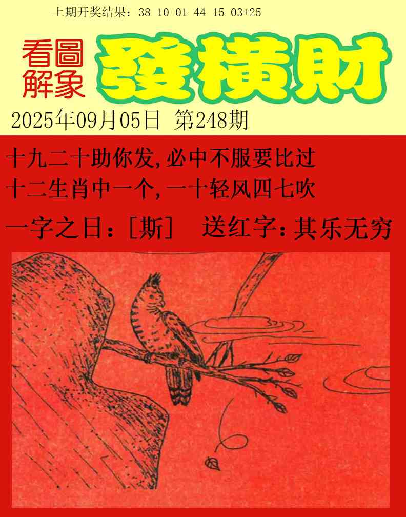 248期梦里寻码[图]