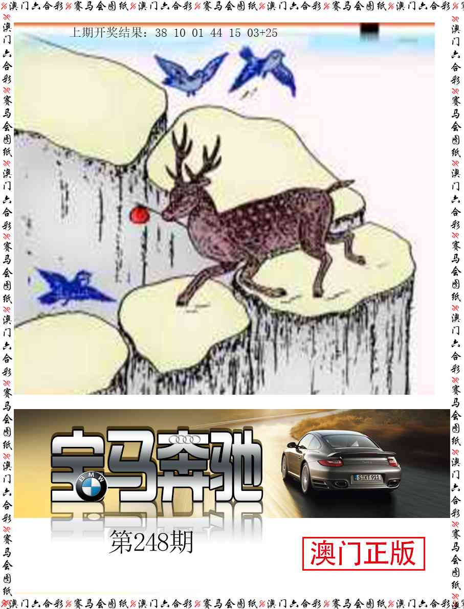 248期宝马奔驰[图]