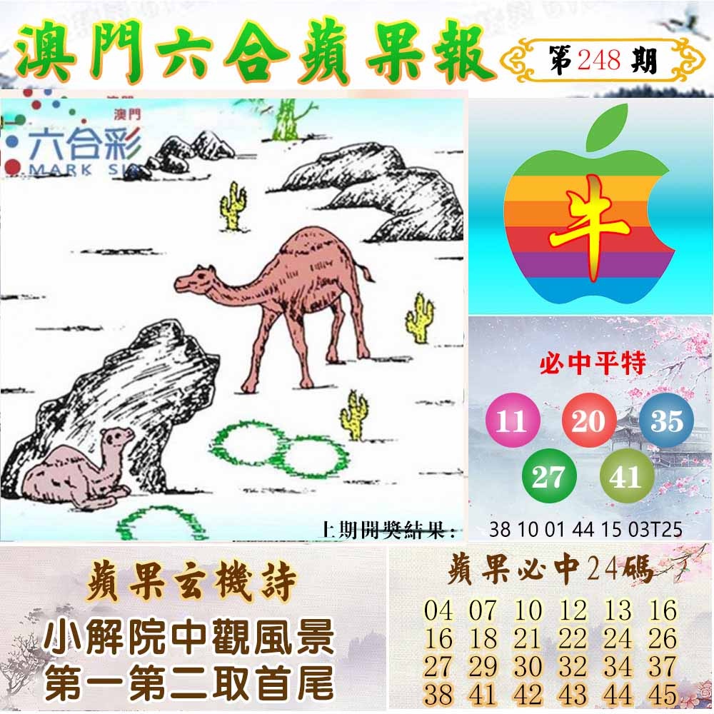 248期苹果报[图]