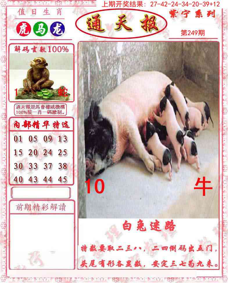 249期救通报[图]