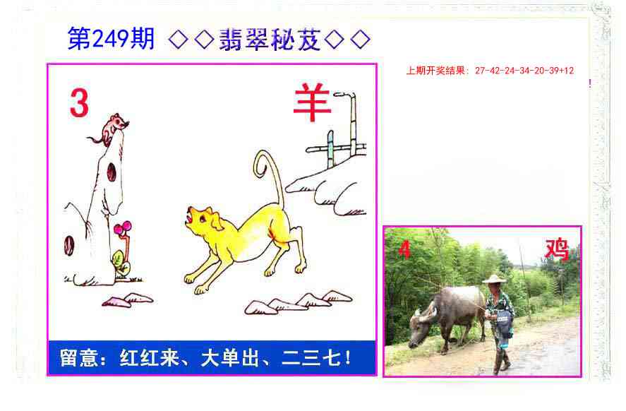 249期翡翠报[图]