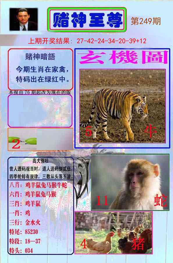 249期赌神至尊[图]