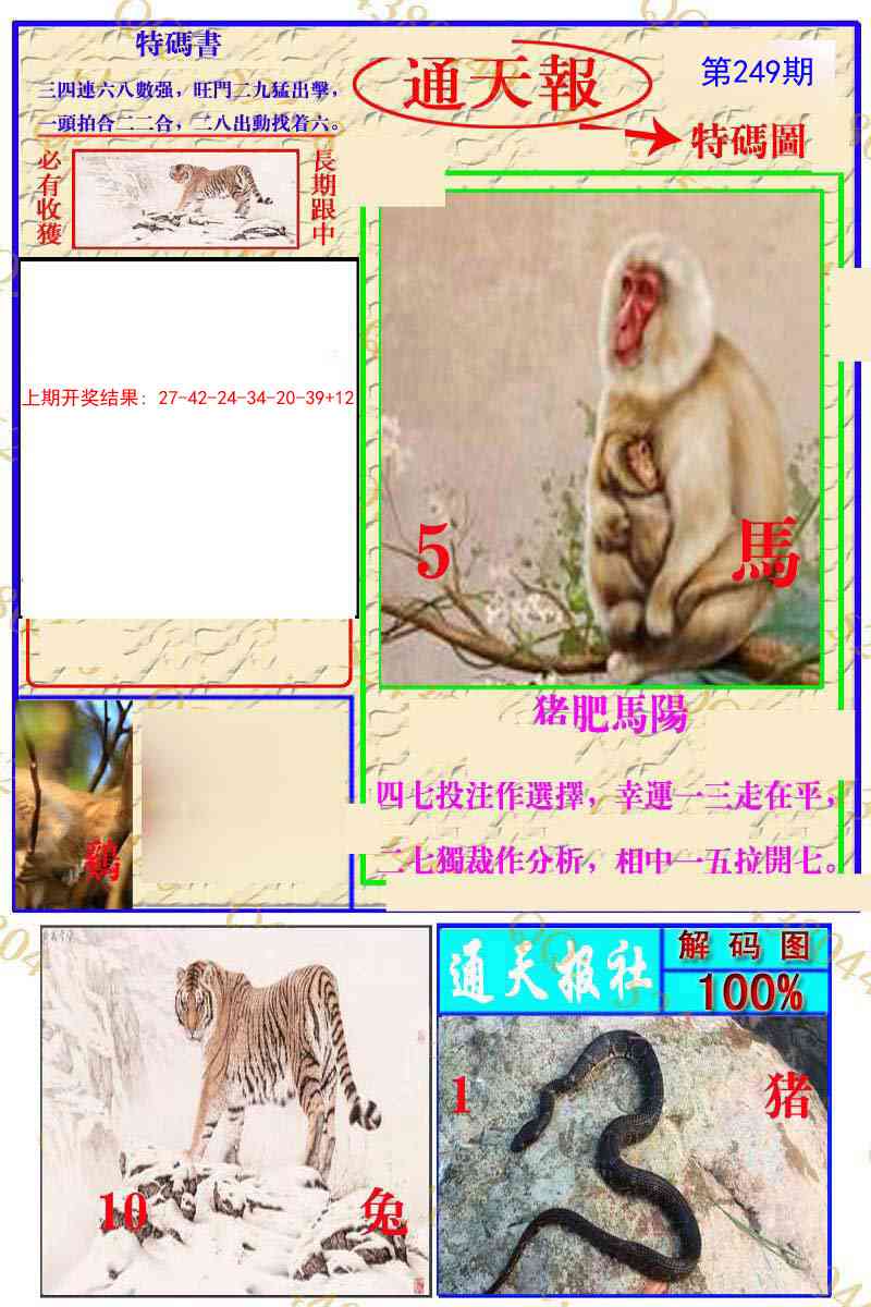 249期通天特解图[图]