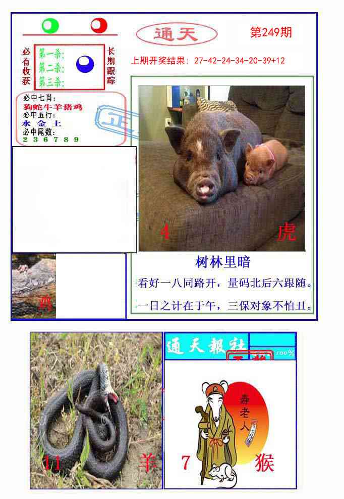 249期通天杀波图2[图]