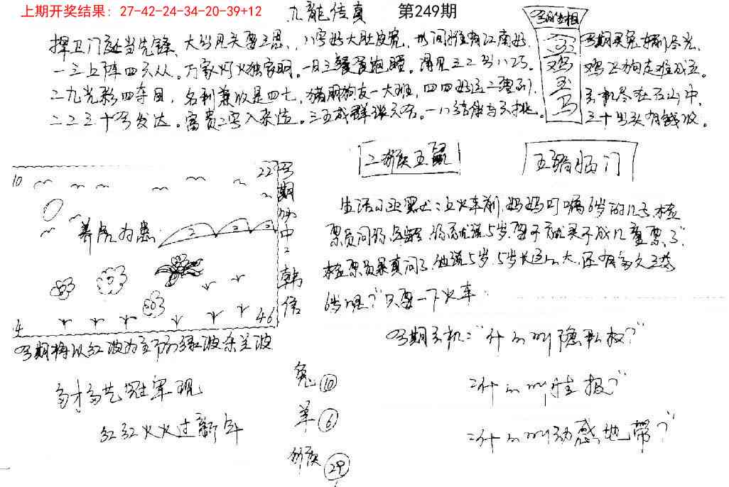 249期手写九龙内幕[图]