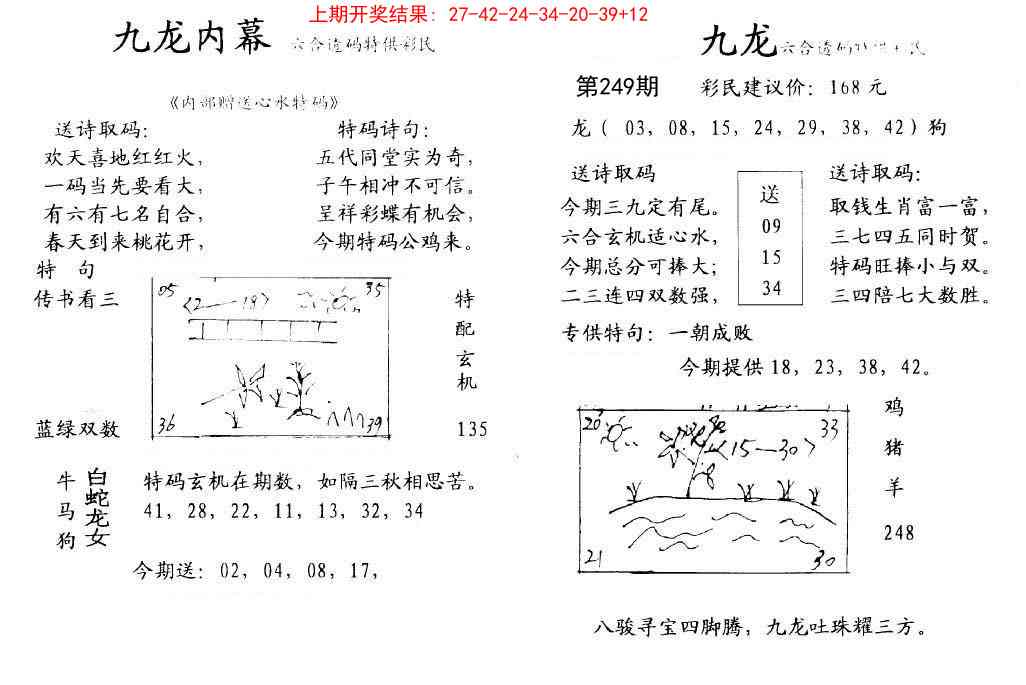 249期九龙内幕[图]
