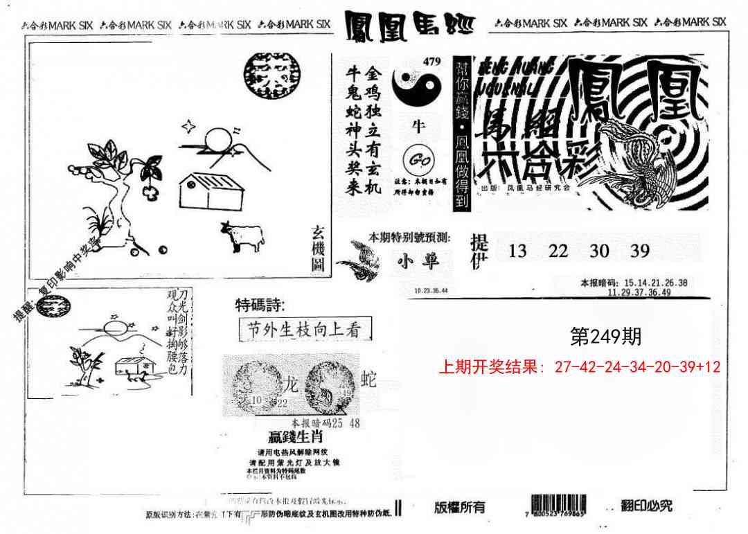 249期另版凤凰马经[图]