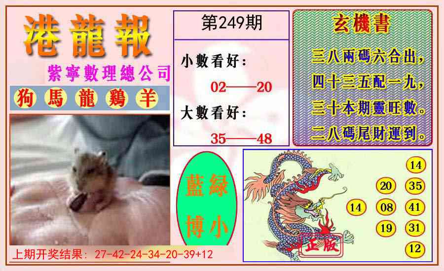 249期港龙报[图]