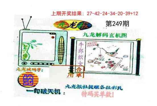 249期九龙报[图]