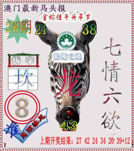 249期马头报[图]