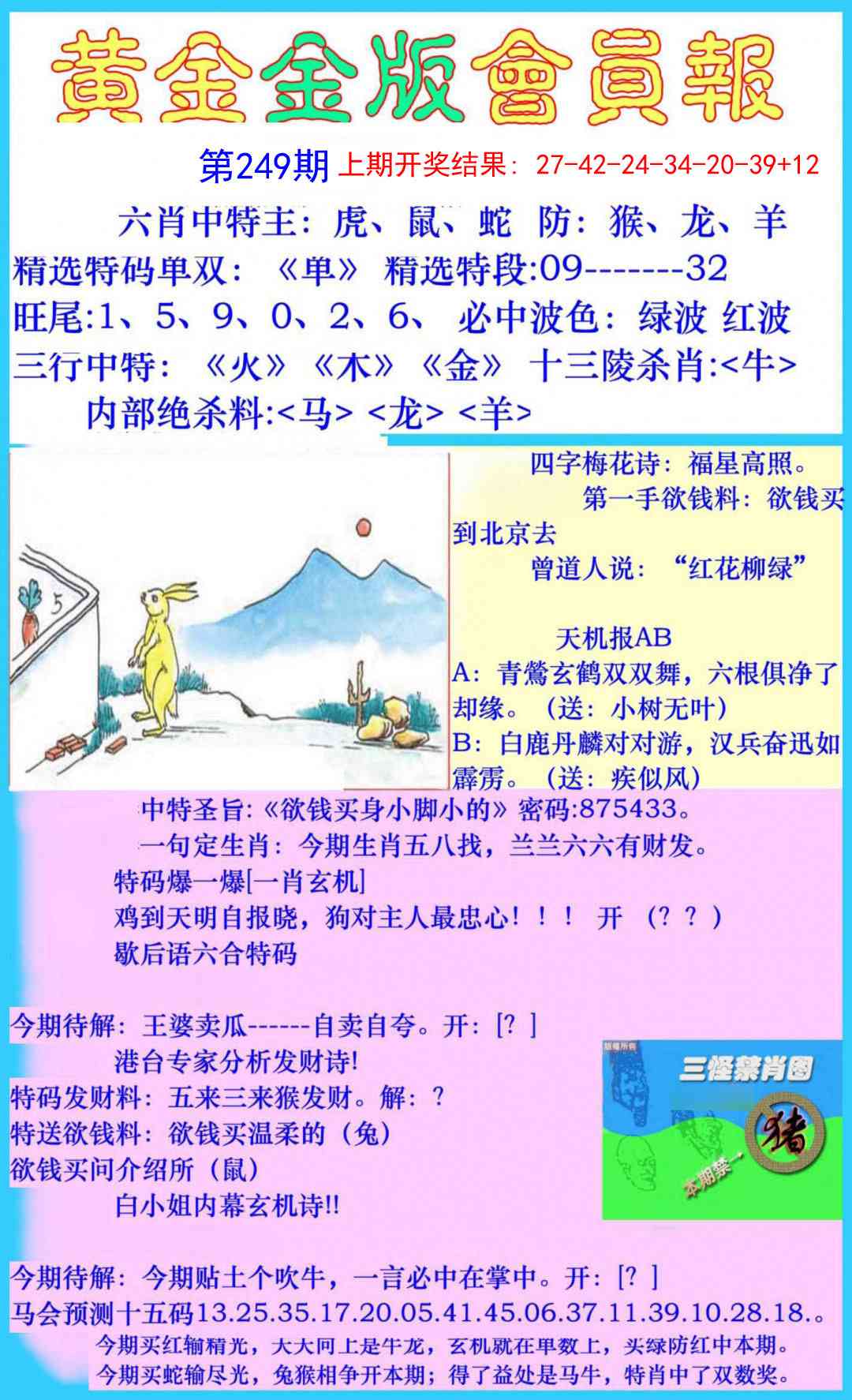 249期黄金金版会员报[图]