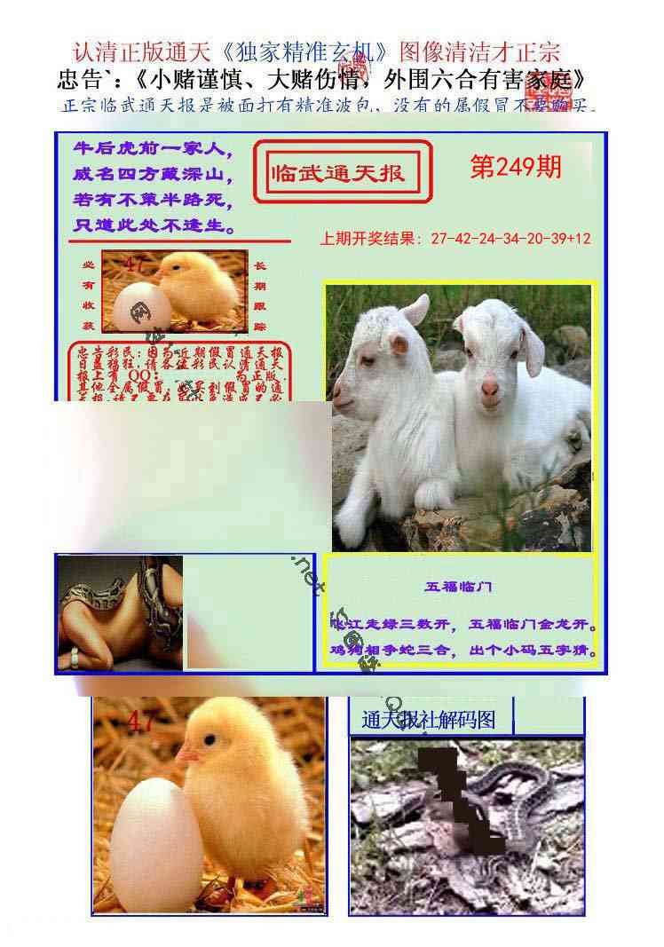 249期临武通天报[图]