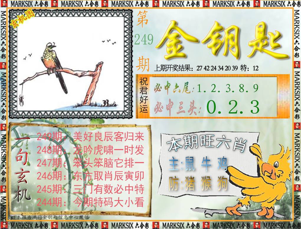 249期金钥匙[图]
