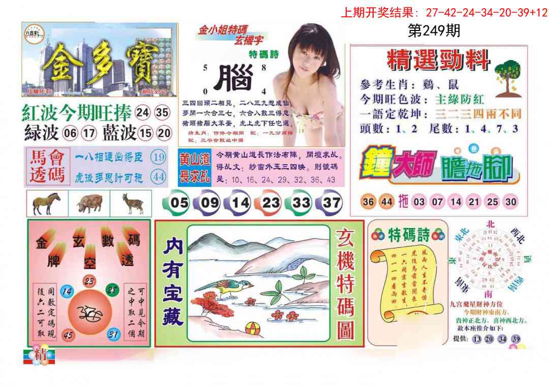 249期金多宝[图]