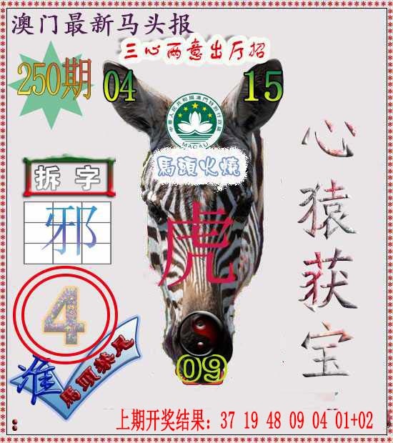 250期马头报[图]