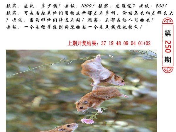 250期澳门生活幽默[图]