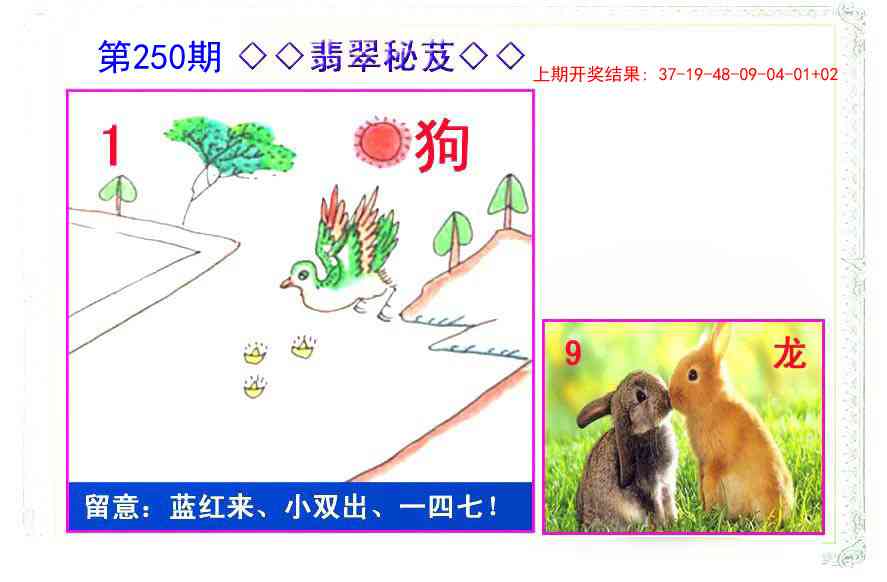 250期翡翠报[图]