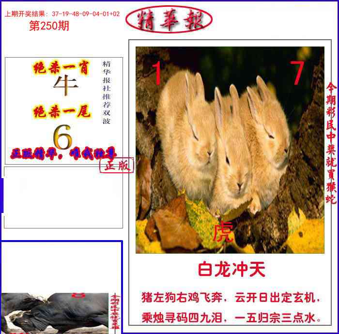 250期新精华报报[图]