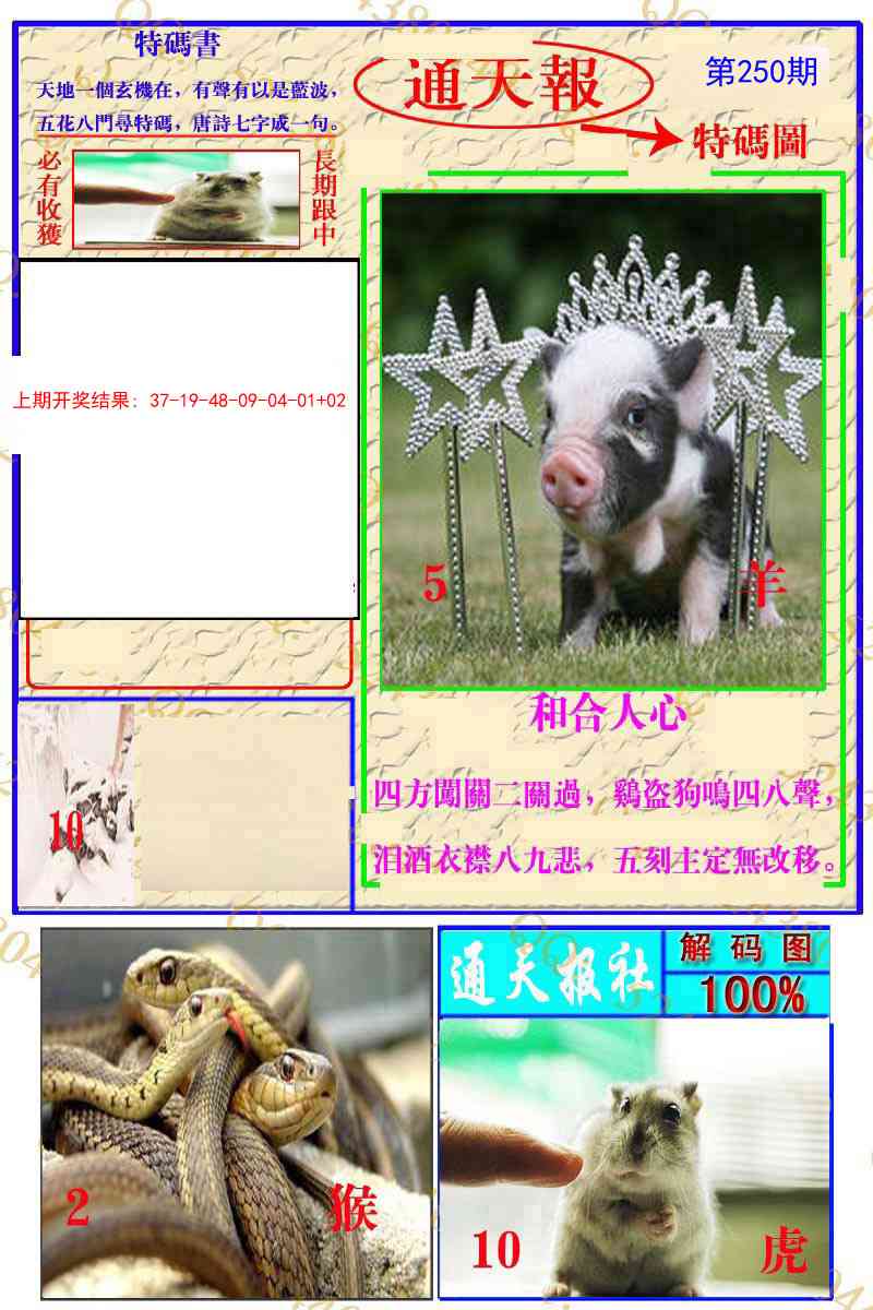 250期通天特解图[图]