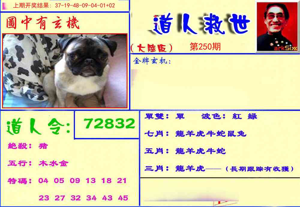 250期道人救生报[图]