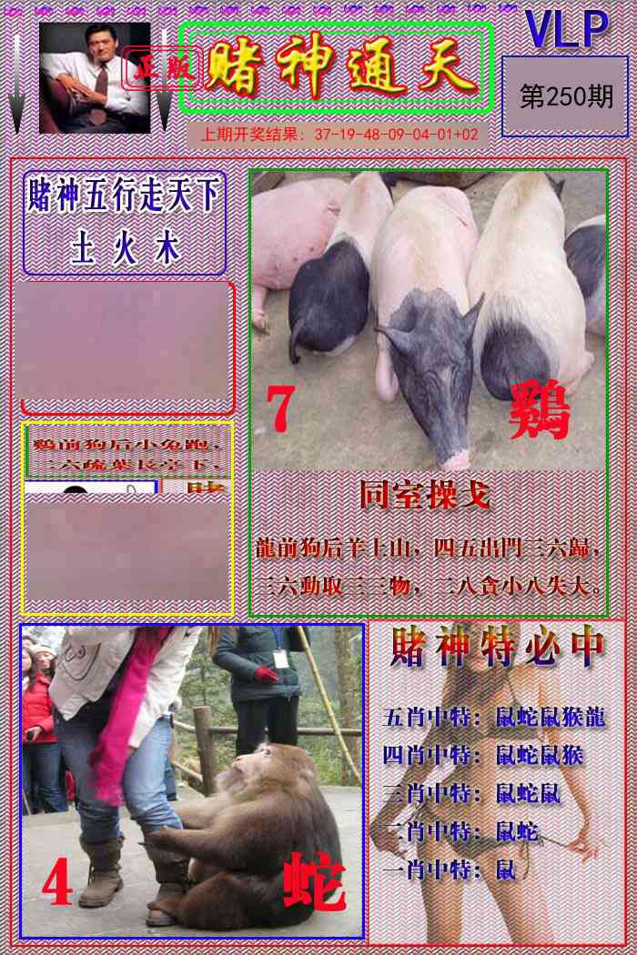 250期赌神通天报[图]