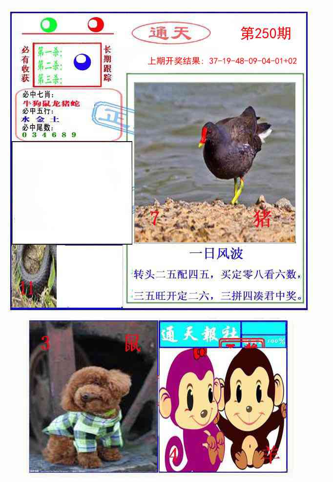 250期通天杀波图2[图]