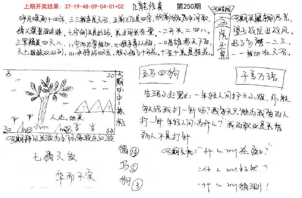 250期手写九龙内幕[图]