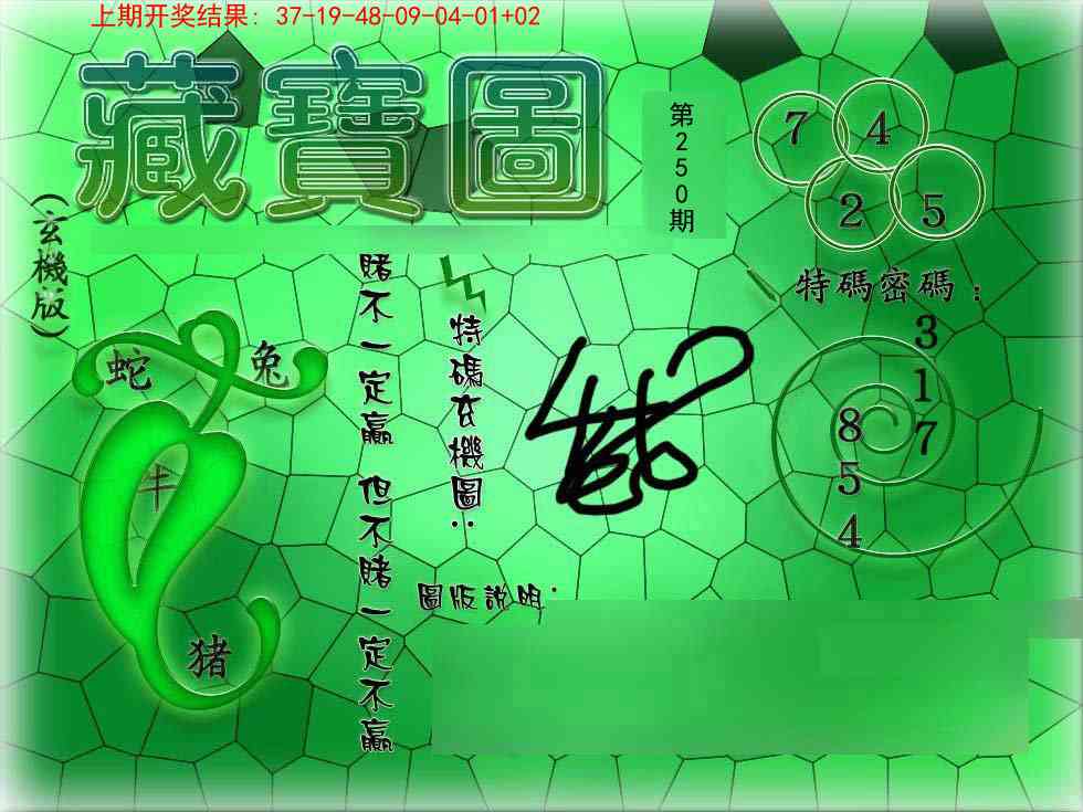250期九龍玄机报[图]