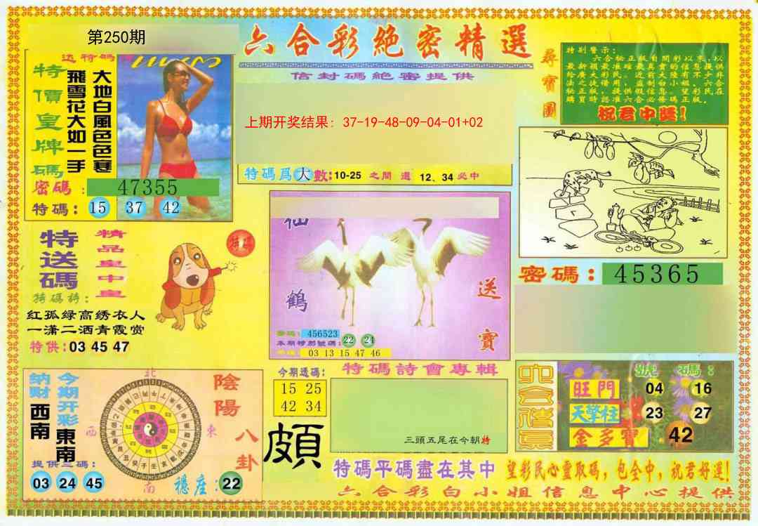 250期绝密精选A[图]