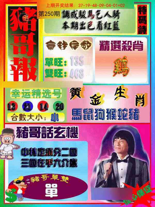 250期猪哥报[图]