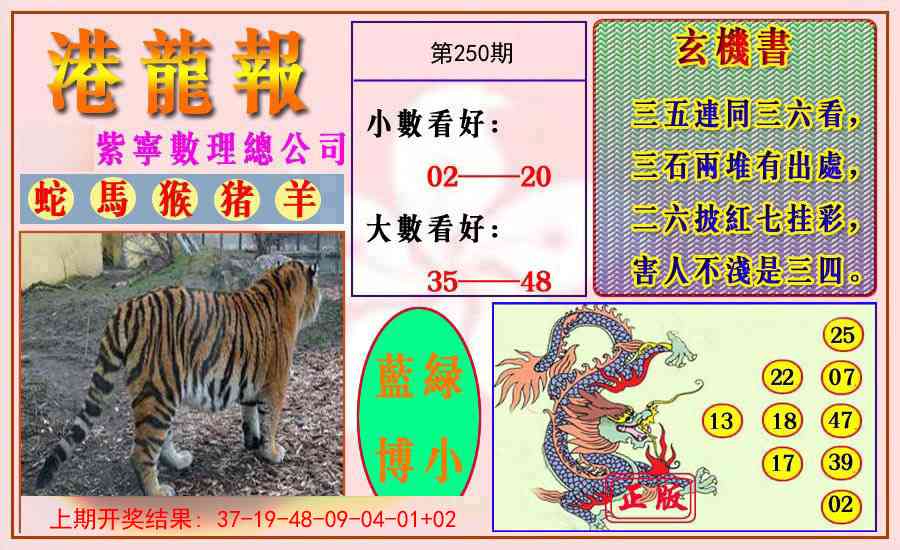 250期港龙报[图]