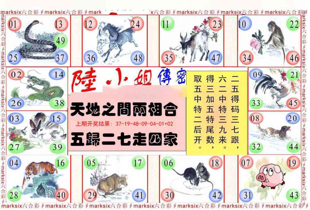 250期陆小姐传密B[图]