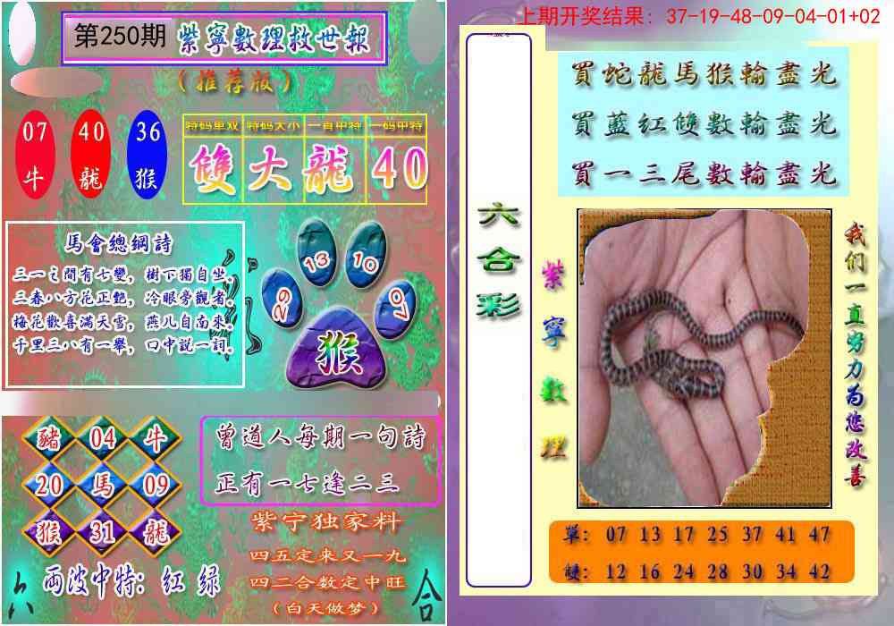 250期数理救世报[图]