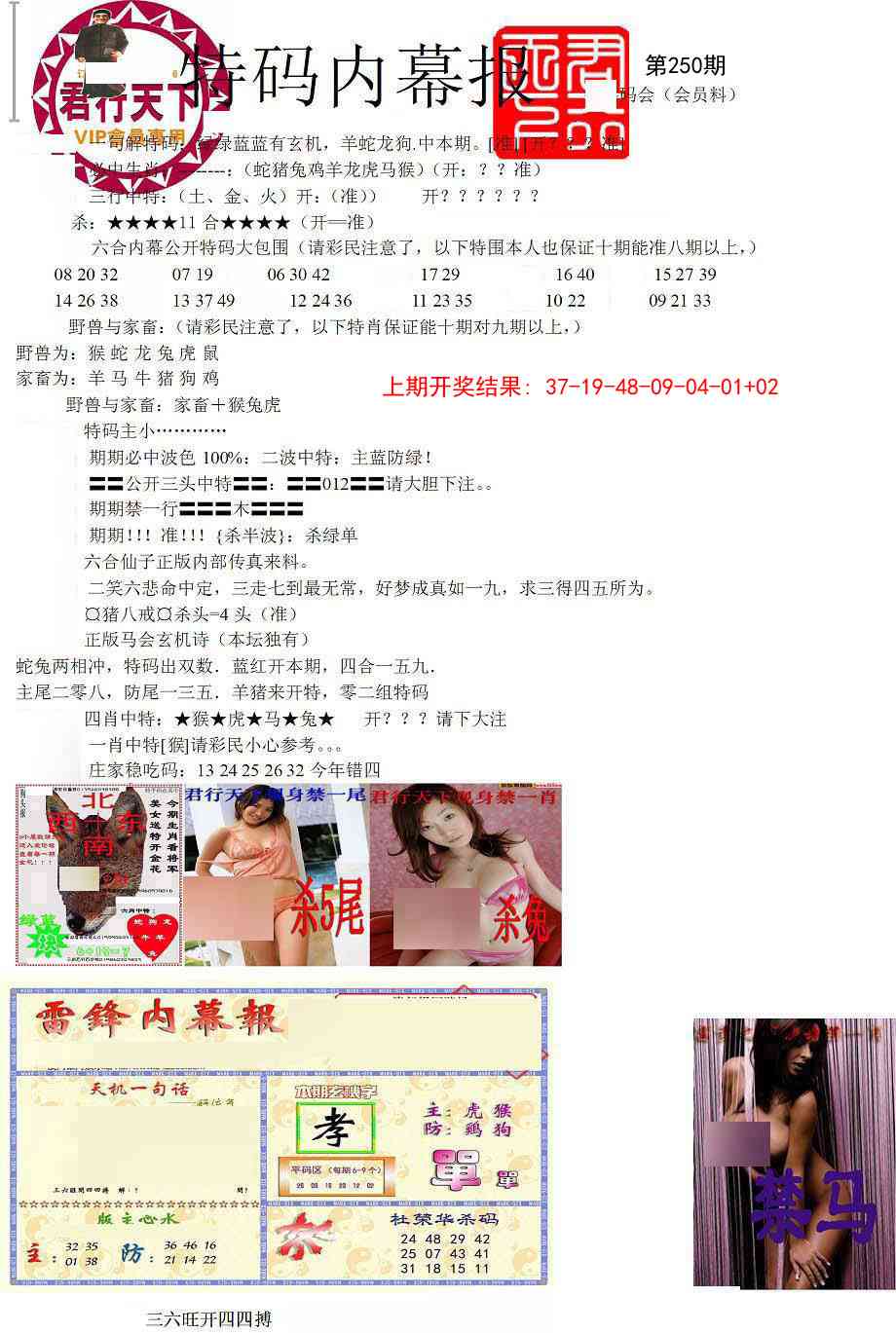 250期特码内幕报[图]