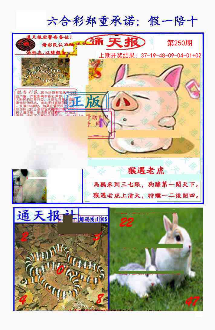250期假一陪十通天报[图]