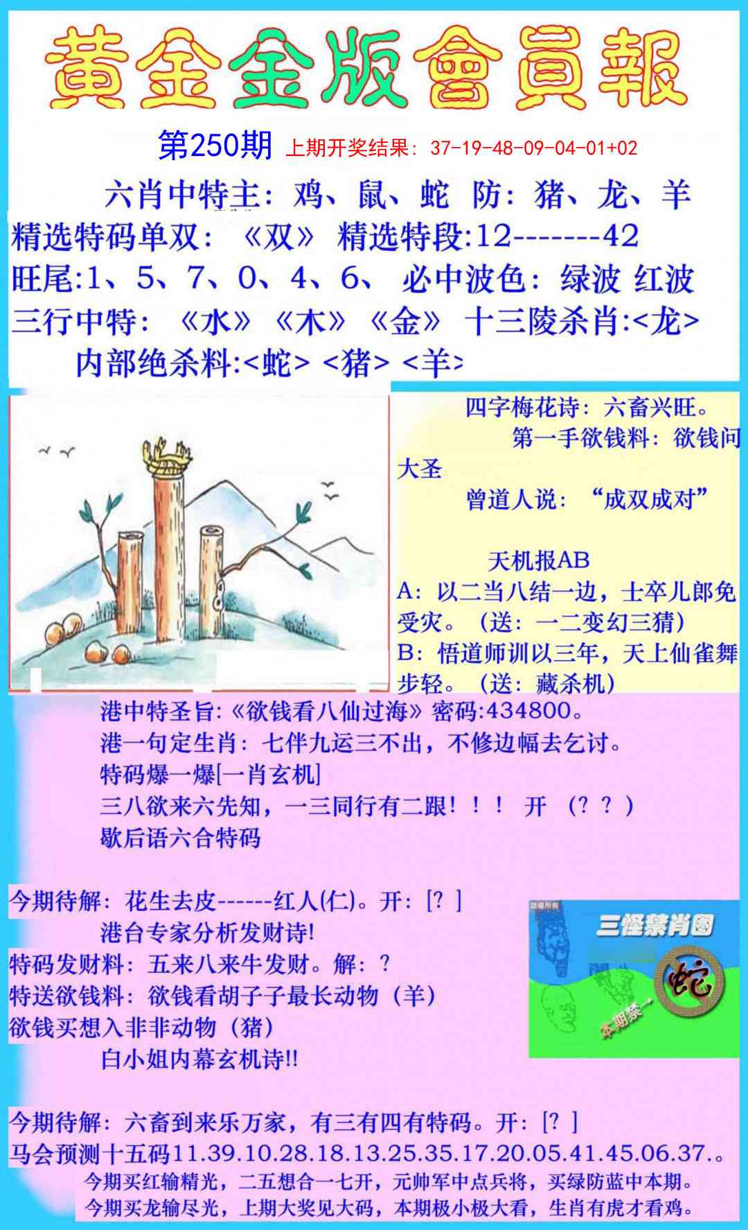 250期黄金金版会员报[图]